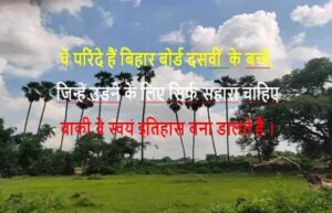 vvi objective question answer 10 class science vvi objective question answer 10 class science